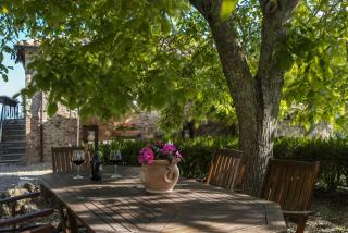 Quaint house in Murlo with shared pool - 1
