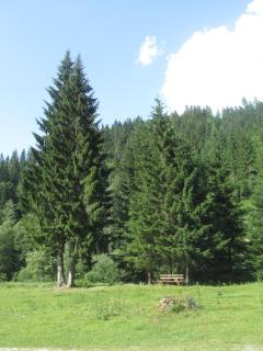 Ferienhaus Schwarzenbacher - Lungötz - 3