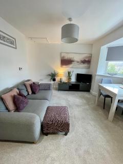 Compact Modern Apartment Single Person or Couple Only - Bangor - 0