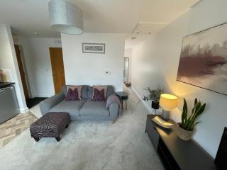 Compact Modern Apartment Single Person or Couple Only - Bangor - 8