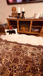 The Cabin at Merrywoods-Updated-Private-Rafting on Ocoee River-Hiking-Waterfalls-WiFi-Pets OK - 1