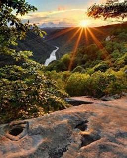 Relax and Renew, Beauty Mountain Hideaway abuts New River Gorge Natl Pk at Short Creek - - 6