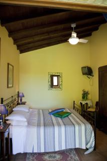 Agriturismo Tenuta Sol Alto - Monsampolo del Tronto - 8