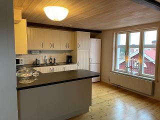 Penthouse close to Vasaloppet finish line portal - Mora - 8