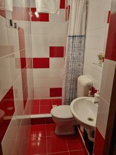 Flower Inn - apartament 2 - Cluj-Napoca - 3