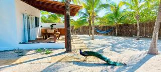 Casa Celeste - 8