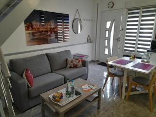 T2 Charmant duplex independant Blagnac - Blagnac - 3