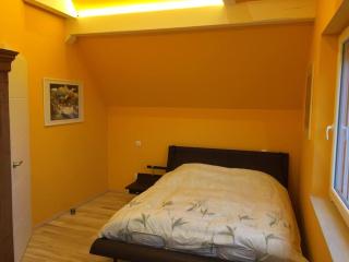 L'Atelier 4 stars Luxury, Hot Tub, Pool - Nambsheim - 4