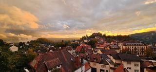 Waldheim Lindenfels - Lindenfels - 9