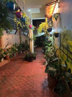 Fernandes Homestay- Apartment near the beach- Feliz - Cavelossim - 1
