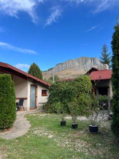 Studiouri Valisoara - Vălişoara - 9