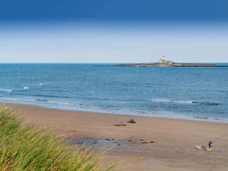 Pelican Rest - Uk41429 - Amble - 3