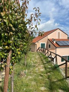Sopra il Santuario - Orco Feglino - 7