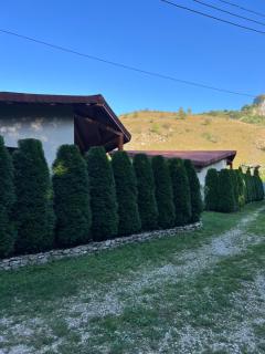 Studiouri Valisoara - Vălişoara - 8
