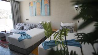 HoneyPath SURFCAMP - 0