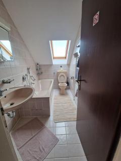 Cheerful Roof Flat in a Private German Style House - Mannheim - 4