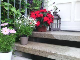 Pension TimeOut - Kassel - 5