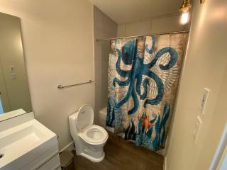 Lovely 1 Bedroom Condo Free Parking And Balcony - Edmonton - 1