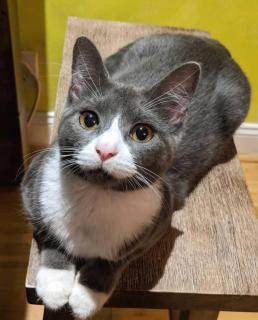 Cozy Private Room & Bath Central Location LA - 3