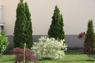 Gästehaus zum See - 4