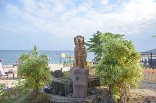 Acuaverde Beach Resort - 2