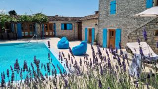 Villa Azzurra - Kanfanar - 1