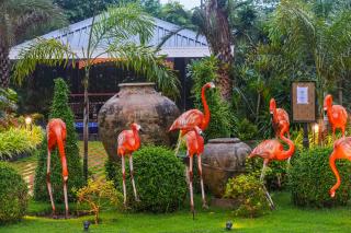 Mayfair Oasis Resort & Convention - Jhārsuguda - 8