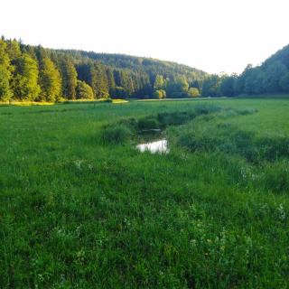 Ferienhaus am Bach - Deuerling - 8