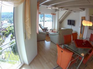 Ferienwohnung Ruheoase - Bad Kissingen - 2
