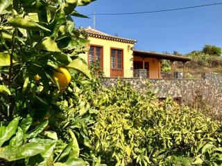 RUSTIC HOUSE LA MONTAÑA - Breña Baja - 2