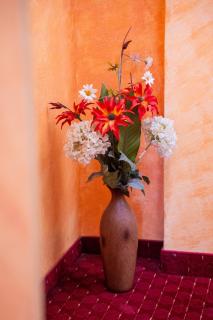 Hotel Cantemir - Bucarest - 5
