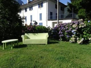 Il giardino delle ortensie - Vogogna - 0