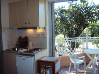 Galini Studios and Apartments - Lassi - 9