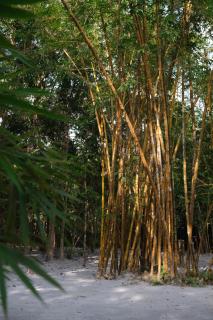 Ashamaya Belitung (Dome Glamping Site) - Pasarbaru - 4
