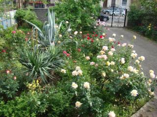 guest house mari - Kutaisi - 5