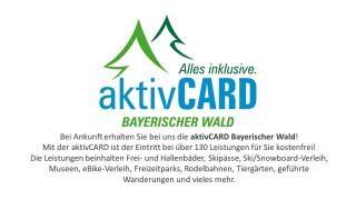 Ferienwohnung Sabolowitsch - Lam - 0