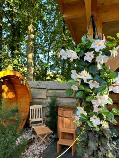 CHALET HARMONY prive WELLNESS - Putten - 3