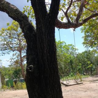 Pousada Chacara Cururu - 5