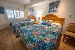 New Remodeled Direct Oceanfront Views Beach Cove - Myrtle Beach - 8