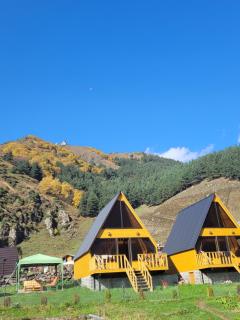 Pine Chalet Kazbegi - Kasbegi - 8