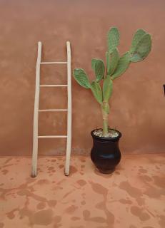 Riad El Youssoufi - Marrakech - 3