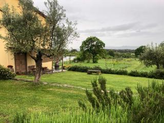 Agriturismo La Posta Reale - Castiglion Fibocchi - 3