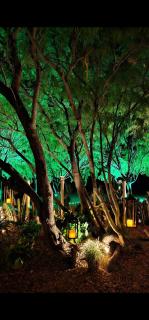 Casa Cactus Praia - Macau - 5