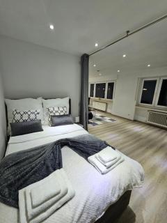 Ferienwohnung im Herzen von Singen - Singen - 7