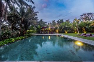 Pertiwi Bisma Ubud - Ubud - 0