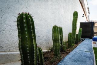 Casa Cactus5BR/Asador/Alberca Privada c/caldera - Jiutepec - 4