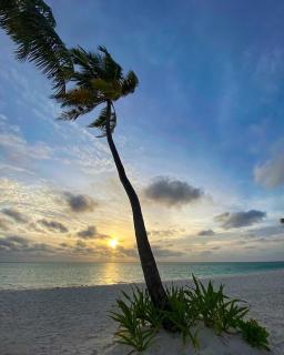 Oceana Inn Maldives - 3