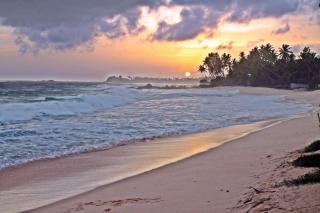 DALAWELLA BEACH RESORT - Unawatuna - 3