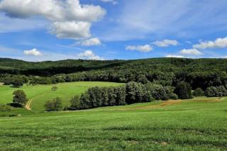 Corps de ferme traditionnel - Lembach - 7