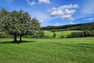 Corps de ferme traditionnel - Lembach - 3